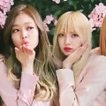 black pink