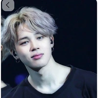 Park jimin ( omega )
