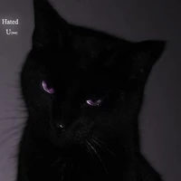 Author (⁠*⁠❛⁠‿⁠❛⁠)⁠→