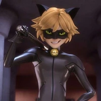 Cat Noir