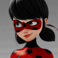 Ladybug