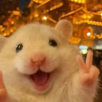 Little Mouse