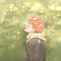 Shoyo Hinata