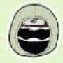 Shino