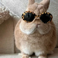 bunny (Breadless)