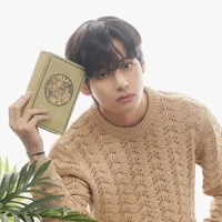 Kim taehyung (soul of Vincent)