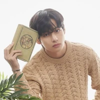 Kim taehyung (soul of Vincent)