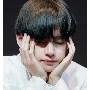 kim taehyung 🐯