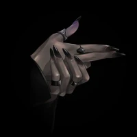 Lady Midnight ( author)