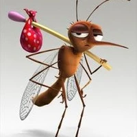 mosquitoes
