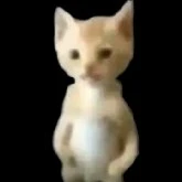 Miguel