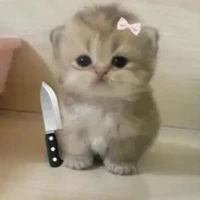 Little_Cloud