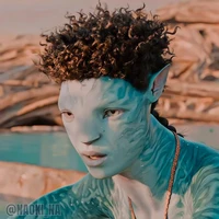 Rotxo