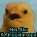 Tuan muda Fang