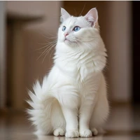 Simi