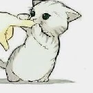 Gatito