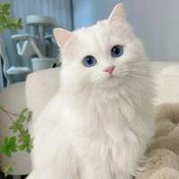 Katie (ML