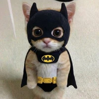 Momo Catman(Author)