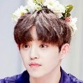 s.coups