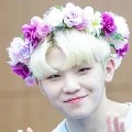 woozi