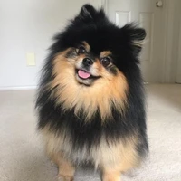 Lee Yeontan(Tannie)