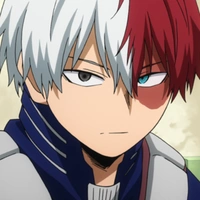 Shoto Todoroki