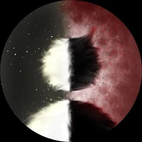 🏳️‍🌈Author🏳️‍🌈