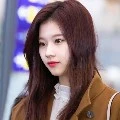ชิน