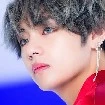 TAE