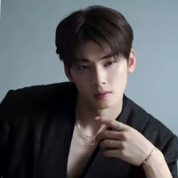 Cha Eunwoo