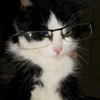 katty(the author)