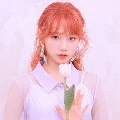 Park Chaewon William