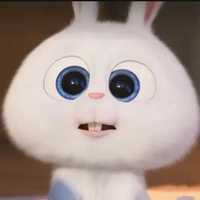 Lil Bunny