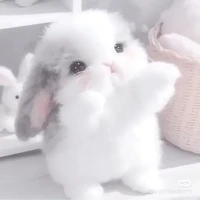 MOCHI
