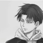 levi acherman