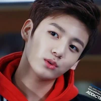 Jeon Jungkook(Alpha)