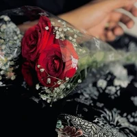 Author ｡⁠◕⁠‿⁠◕⁠｡