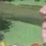 niño