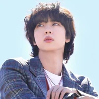 Kim Seokjin 