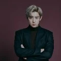 Chanyeol ( sekertaris llisa )