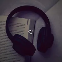 ~THE MUSIC~