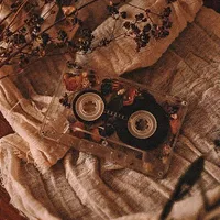 MUSIC 🎶🎶