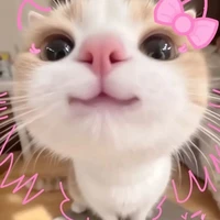 hihihi