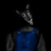 Mr.wolf