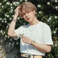 kim jimin (RO)