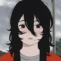 Y/N