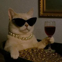 cookieee(ur author ig ??)