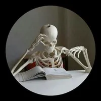 Your Author 💀