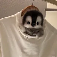 |