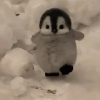 •